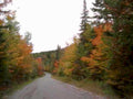 autumn road trip1980s 1990s A4 Photo Print