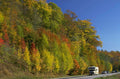 autumn rv forest 1980s 1990s A4 Photo Print
