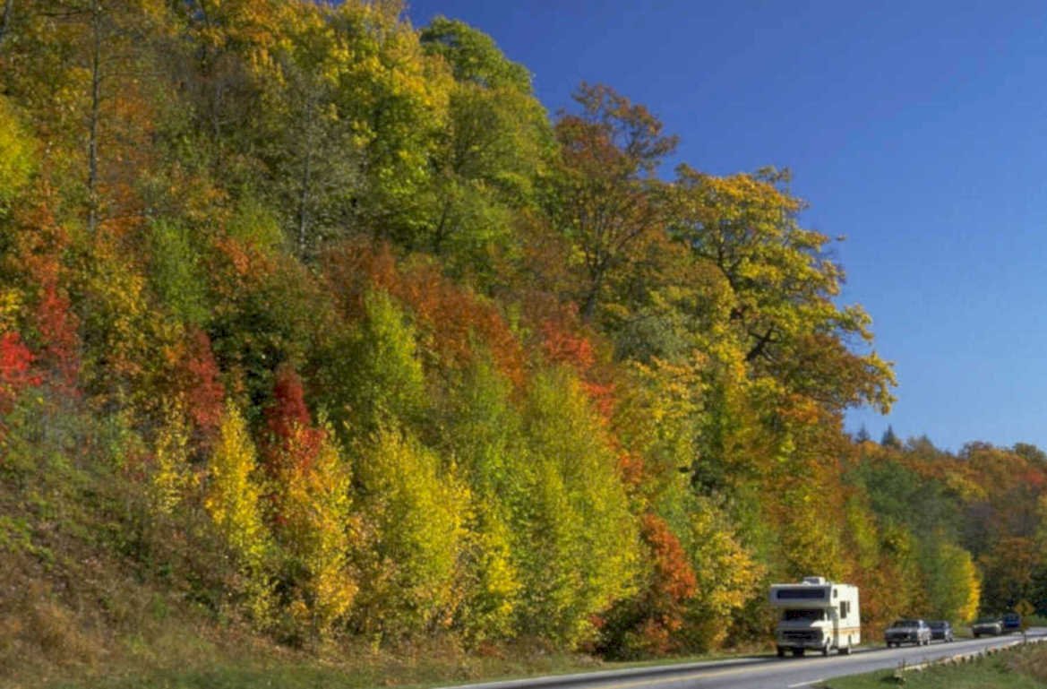 autumn rv forest 1980s 1990s A4 Photo Print