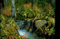 autumn stream landscape Vintage A4 Photo Print
