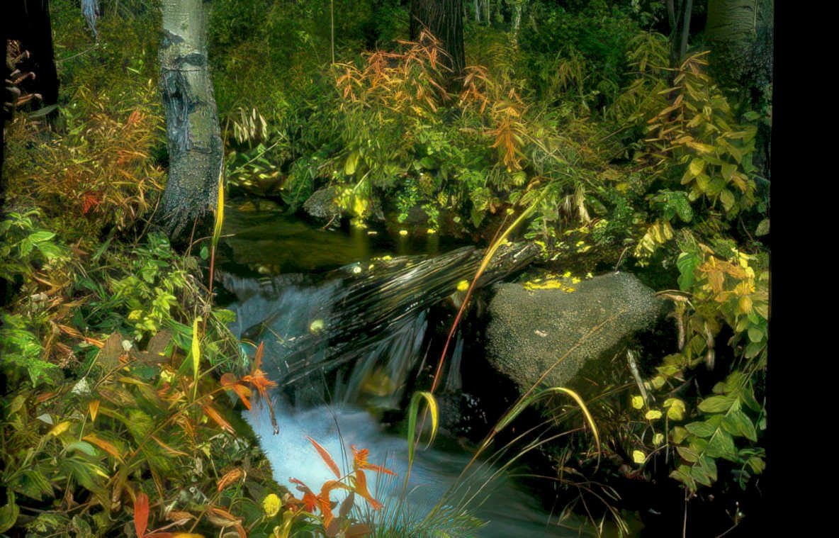 autumn stream landscape Vintage A4 Photo Print