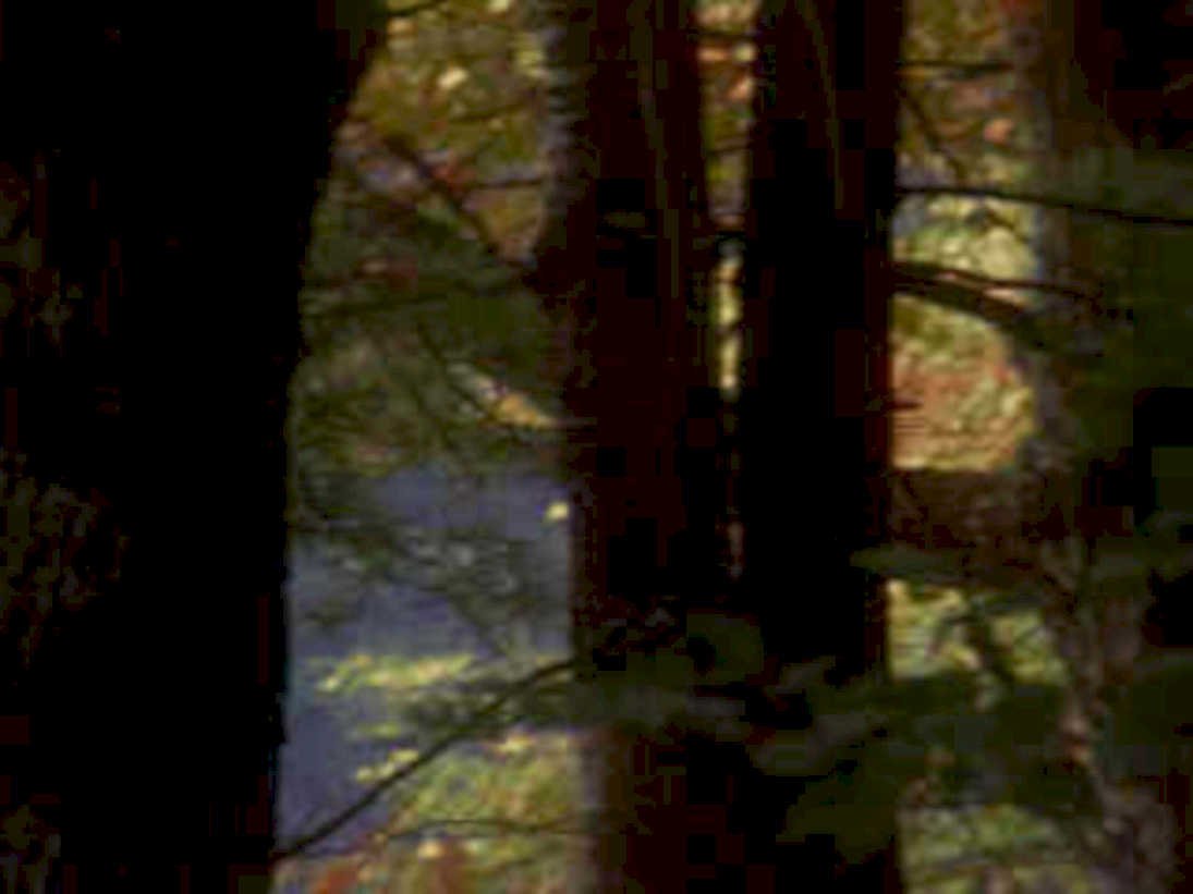 autumn stream reflection1980s 1990s A4 Photo Print