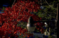autumn streetlight maple 1980s 1990s A4 Photo Print
