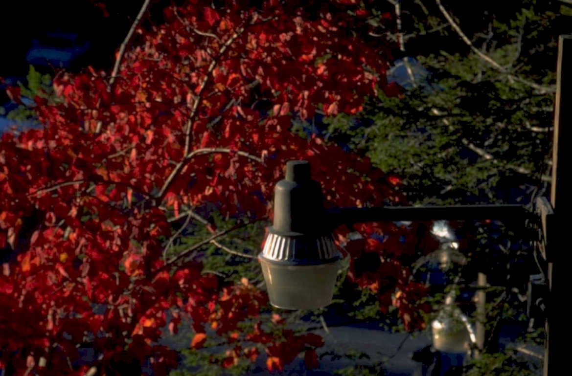 autumn streetlight maple 1980s 1990s A4 Photo Print