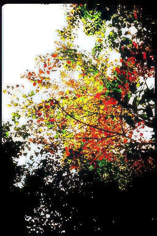 autumn tree canopy Vintage A4 Photo Print