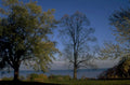 autumn trees lake 1980s 1990s A4 Photo Print