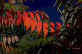 autumn wahoo branch 1980s 1990s A4 Photo Print
