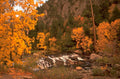 autumn waterfall yosemite 1980s 1990s A4 Photo Print