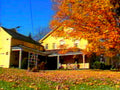autumn yellow house1980s 1990s A4 Photo Print