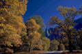autumn yosemite fall 1980s 1990s A4 Photo Print