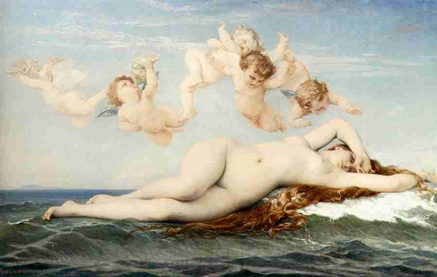 b venus Art A4 Photo Print