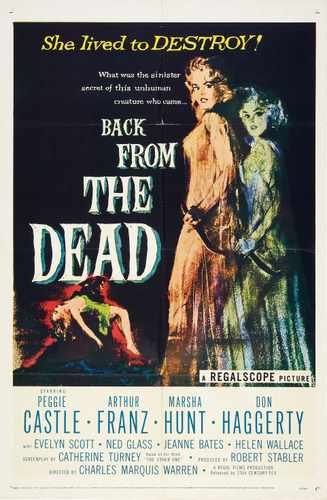 back from dead 01 film star poster A4 Photo Print