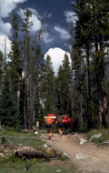 backpackers trailhead pine 1980s 1990s A4 Photo Print