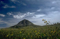 badlands sunflowers mesa 1980s 1990s A4 Photo Print