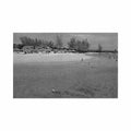 bahamas the balmoral beach hotel on cable beach hca hotels Vintage A4 Photo Print