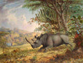 baines the black rhinoceros Art A4 Photo Print