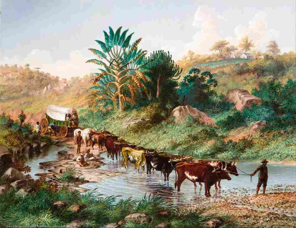baines wagon crossing a drift natal Art A4 Photo Print