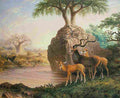 bainn Koodos Luisi River Zambesi Valley Art A4 Photo Print