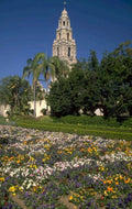 balboa park flowers 1980s 1990s A4 Photo Print