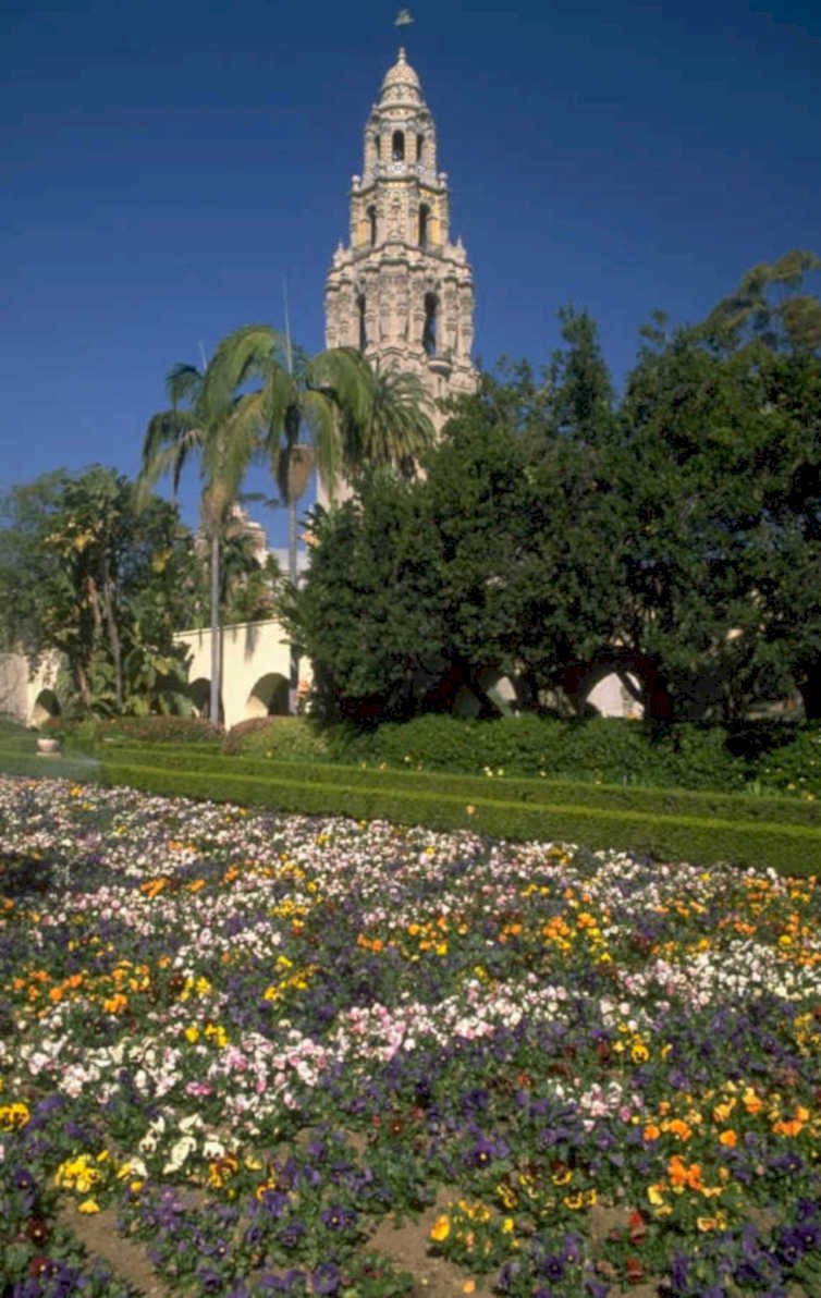 balboa park flowers 1980s 1990s A4 Photo Print