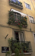 balcony flowers barcelona 1980s 1990s A4 Photo Print