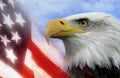 bald eagle american Flags1980s A4 Photo Print