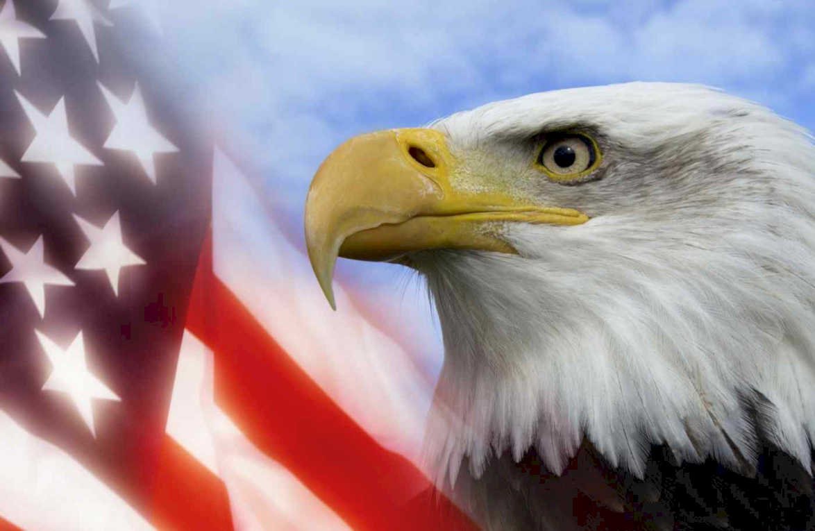 bald eagle american Flags1980s A4 Photo Print