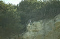 bald eagle cliff Vintage A4 Photo Print