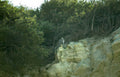 bald eagle limestone Vintage A4 Photo Print