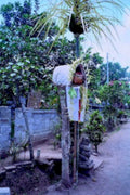 bali birdhouse scene1980s 1990s A4 Photo Print