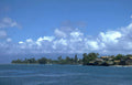 bali coastline palm Vintage A4 Photo Print