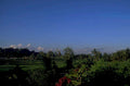 bali rice terraces 1980s 1990s A4 Photo Print 42