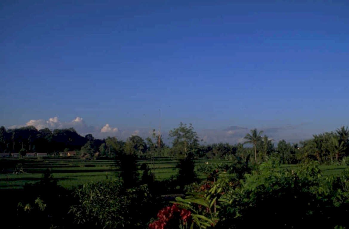 bali rice terraces 1980s 1990s A4 Photo Print 42