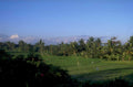 bali rice terraces 1980s 1990s A4 Photo Print 43