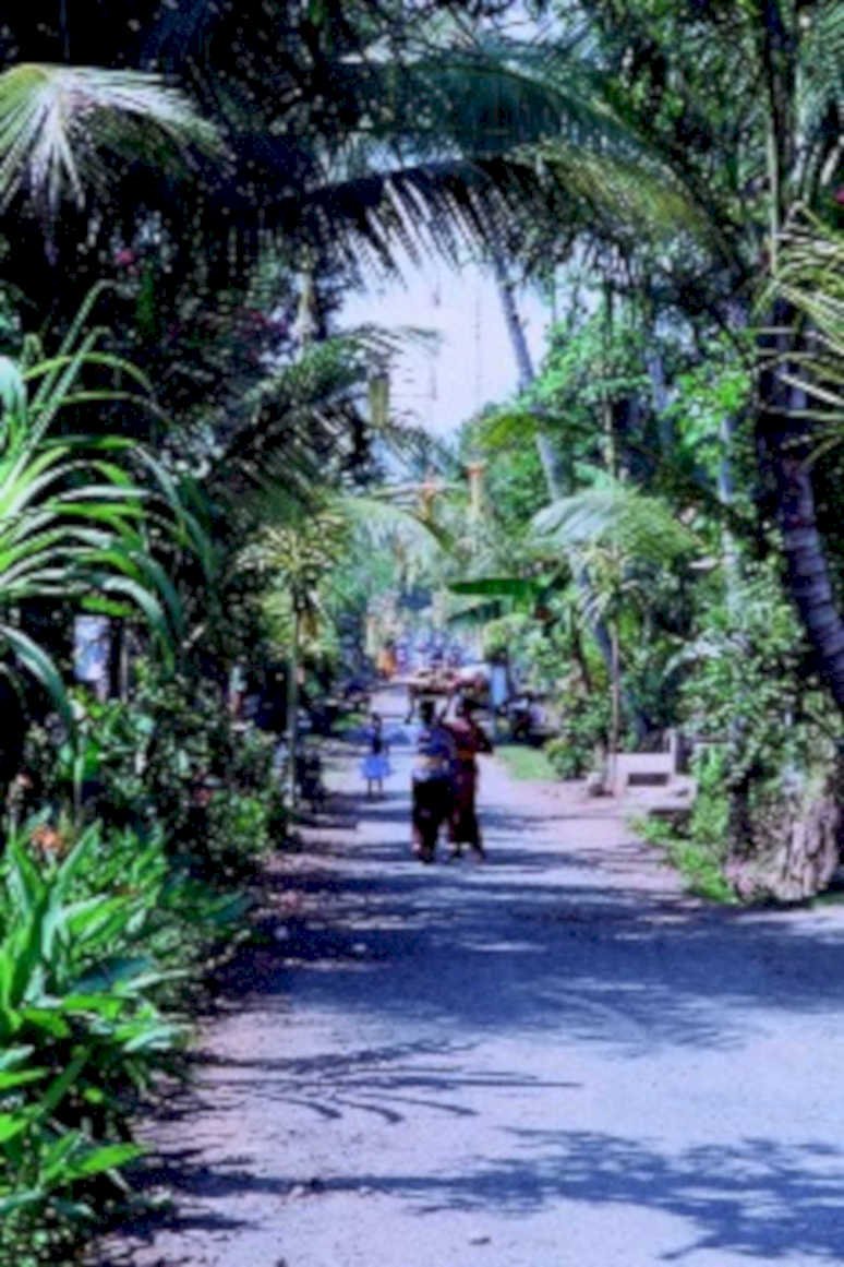 bali road scene1980s 1990s A4 Photo Print