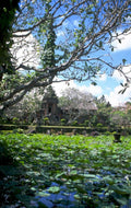 bali temple reflection 1980s 1990s A4 Photo Print