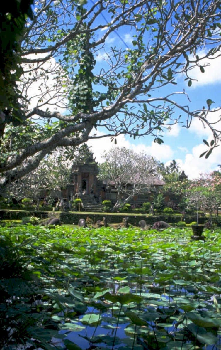 bali temple reflection 1980s 1990s A4 Photo Print