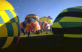 balloons albuquerque brains Vintage A4 Photo Print