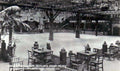 ballroom boylins campVintage 1880s 1900s A4 Photo Print