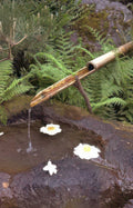 bamboo water eggs Vintage A4 Photo Print