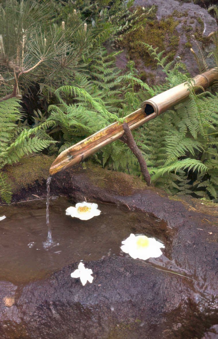bamboo water eggs Vintage A4 Photo Print