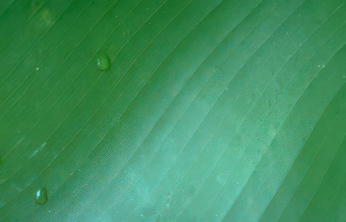 banana leaf droplets Vintage A4 Photo Print