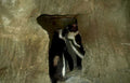 banded meerkat cave Vintage A4 Photo Print