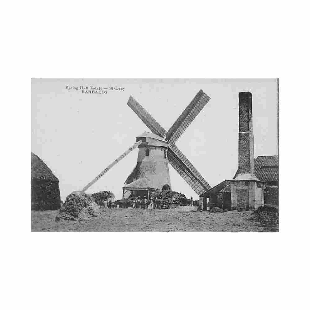 barbados st lucy windmill spring hall estate combier Vintage A4 Photo Print