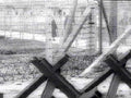 barbedwirefence1980s 1990s A4 Photo Print