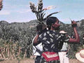 barley harvest oromo1980s 1990s A4 Photo Print