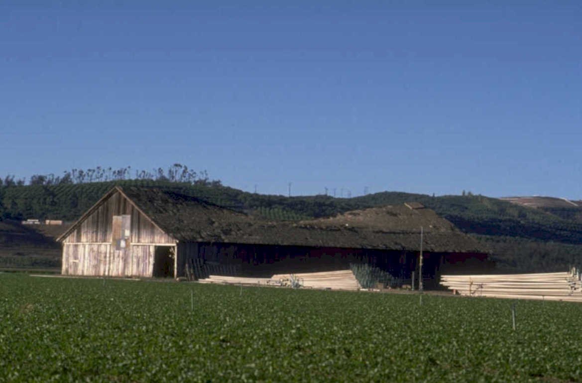 barn crops hills 1980s 1990s A4 Photo Print