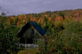 barn fall forest 1980s 1990s A4 Photo Print