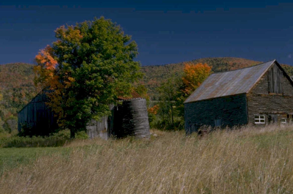 barn maples hills 1980s 1990s A4 Photo Print