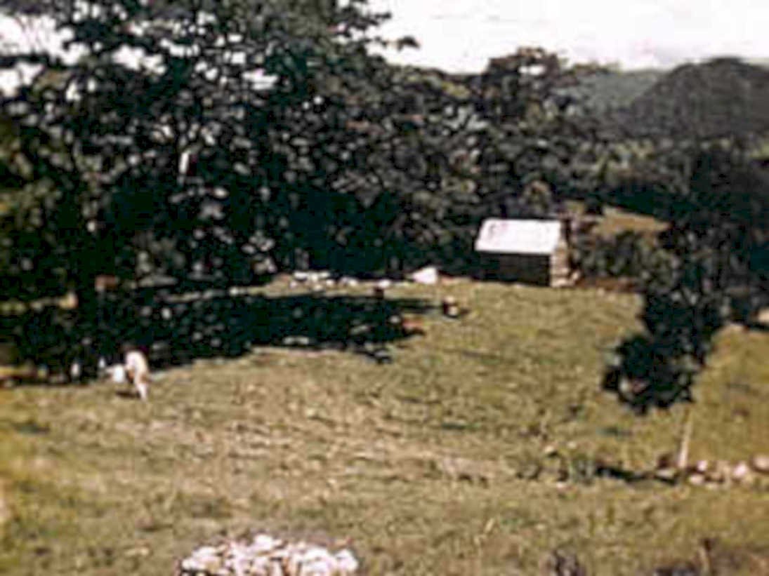 barn sheep hills1980s 1990s A4 Photo Print